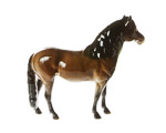 Side View of Pony modelled by Arthur Gredington
