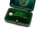Antique gold stick pin within plush green velvet and green silk lined presentation case, with gilt printing for X.Ganz Wathmaker and Goldsmith 